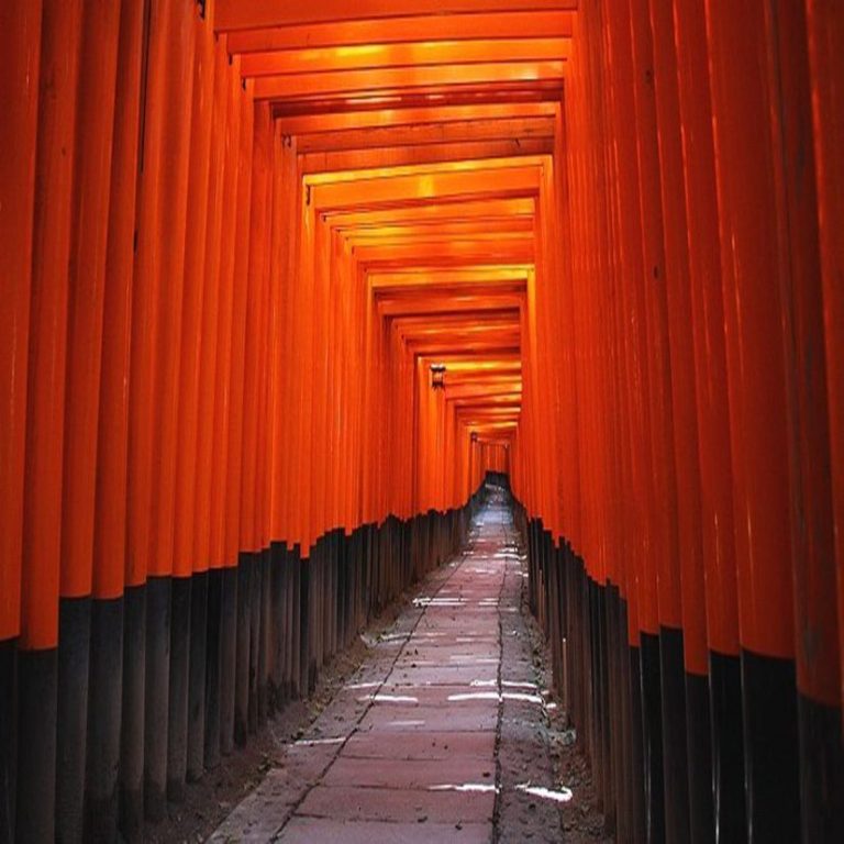 Der Inari-Glaube ist eine alte japanische Religion, die 1.300 Jahre alt ist. Hinter dem Torii-Tor befindet sich das Haus der Götter.