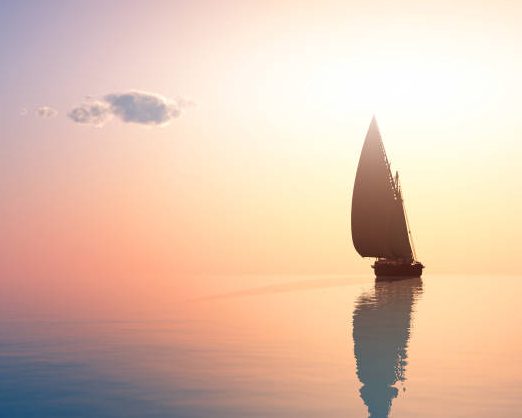 Installation view, Vineyard Works with few colors require the depth and depth of the monochromatic color, that is, the spirituality of the color.